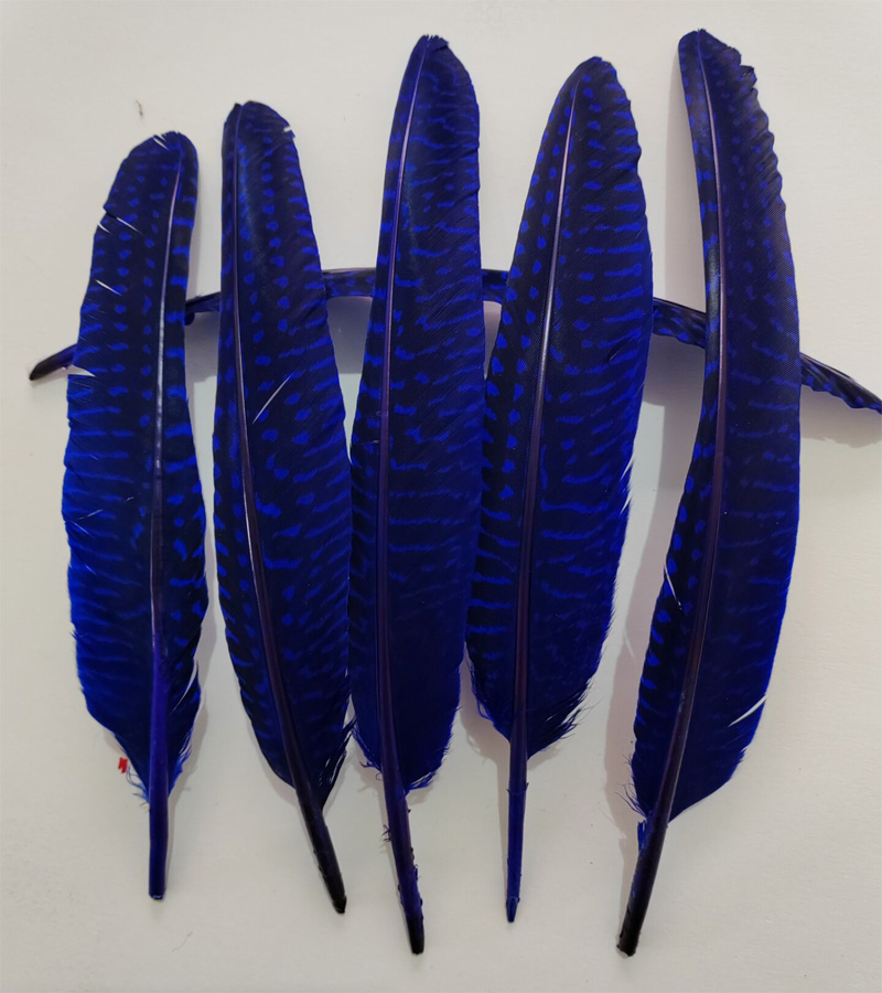 Перья! 100 шт./лот! 14-20 см,  – обзор и цена Art Quilling Craft