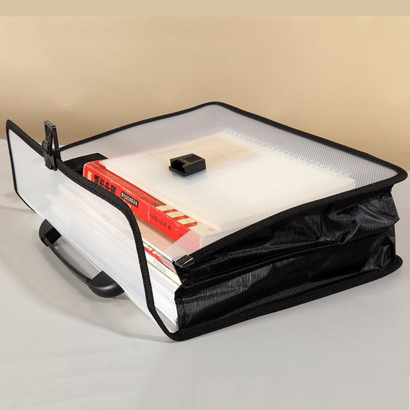 Портативный прозрачный пластик – обзор и цена Art Portfolio Bag
